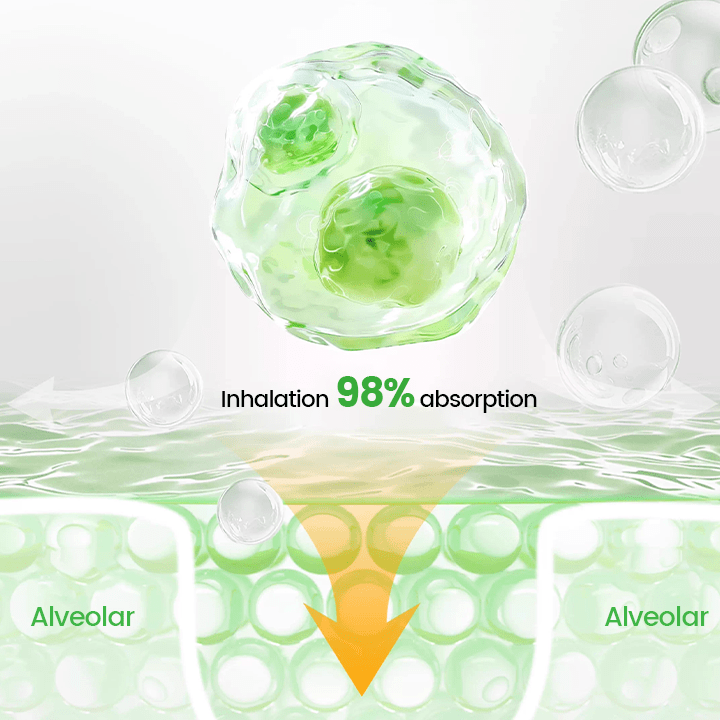 Lyyeto® Pulmovia Quercetin Lung Detox Inhaler ACE
