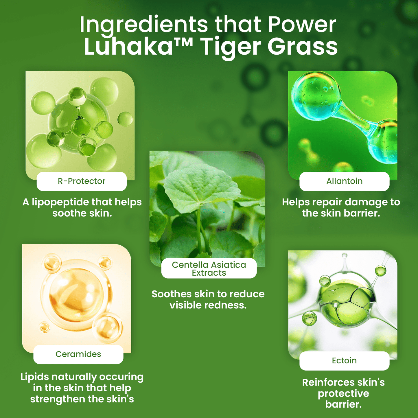 Luhaka™ Centella Color Correcting Treatment