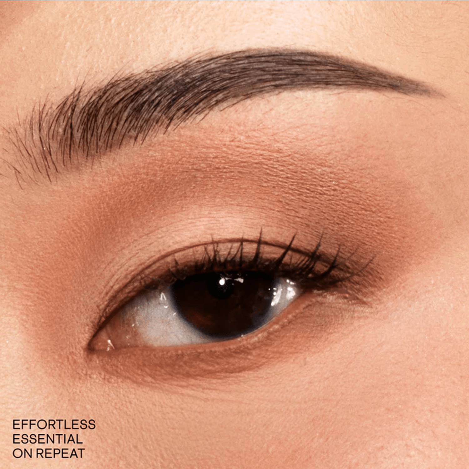 Essential Eye Artistry Set