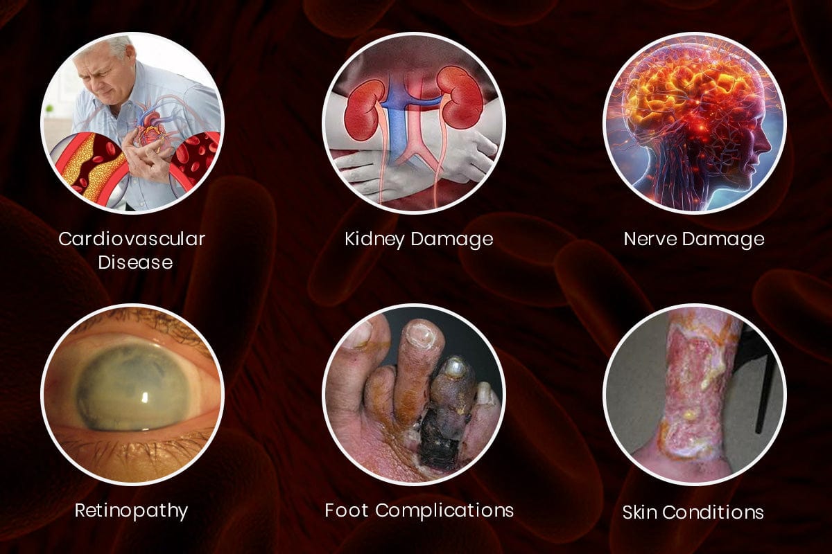 Lyyeto® Glyconova Blood Sugar Inhaler 17 1200x800 6 4ada7df1 3a13 4652 bd0b 11e7fb7bb043