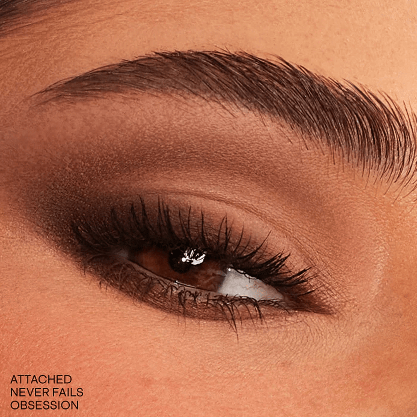 Essential Eye Artistry Set