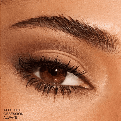 Essential Eye Artistry Set