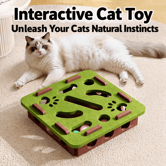 🐱Cat Toy Box with Interactive Maze