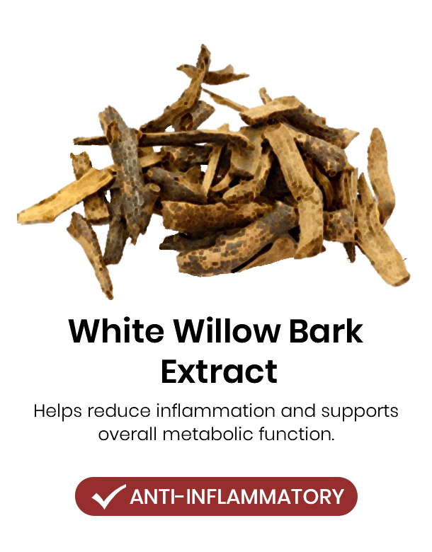 Lyyeto® Glyconova Blood Sugar Inhaler 25 3 7e480cd0 156d 4360 81ef cbffaf795aaa