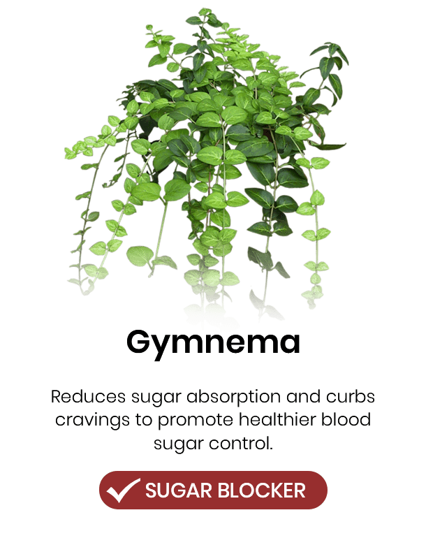 Lyyeto® Glyconova Blood Sugar Inhaler 24 4 40774fd9 57e8 4d0c 95dc e405a6680405