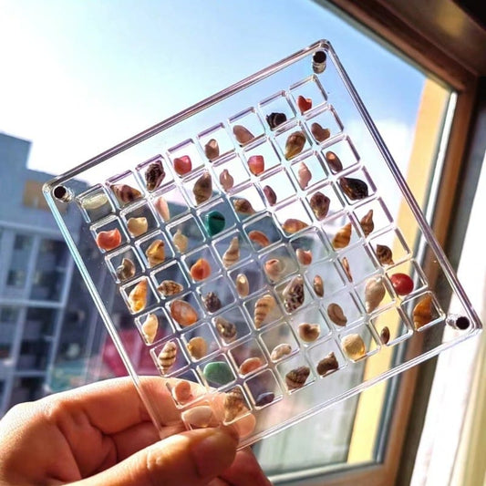Cilifer® 🔥Acrylic Magnetic Seashell Display Box D01
