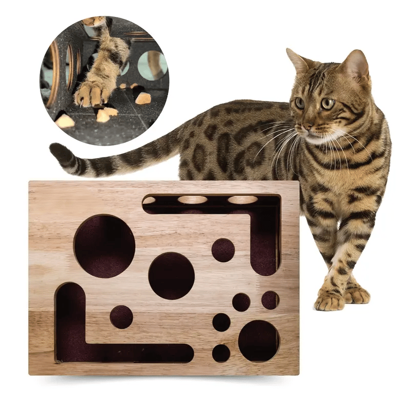 🎁😻 Cat Scratch Puzzle Enrichment Box Stress-Free Nail Care Without Clippers or Grinders 1
