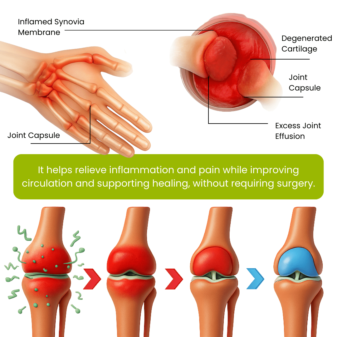 Lyyeto® Magnesium & Peppermint OsteoCare ACE