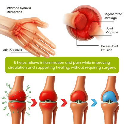 Lyyeto® Magnesium & Peppermint OsteoCare ACE