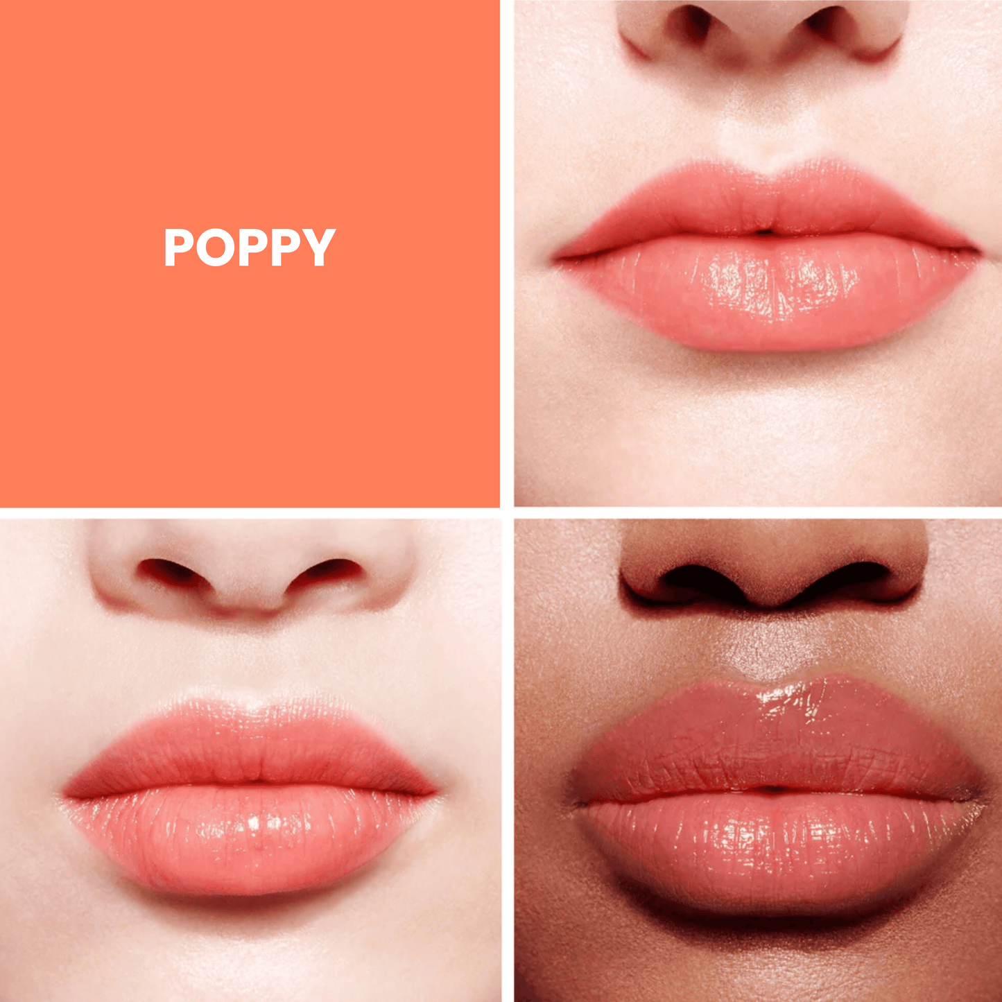 Summer Fruits Set | TikTok Exclusive