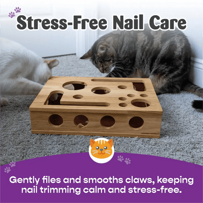 🎁😻 Cat Scratch Puzzle Enrichment Box Stress-Free Nail Care Without Clippers or Grinders 1