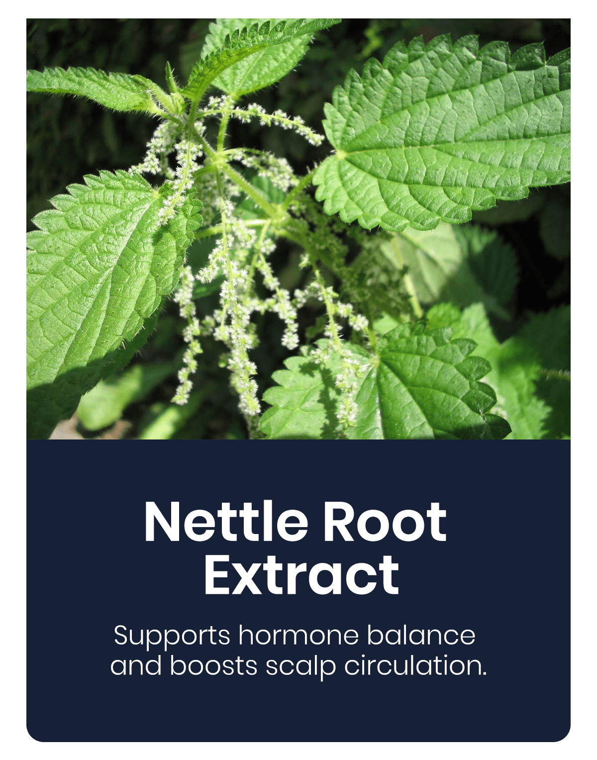 Lyyeto® HairRevix Advanced Hair Restoration Liquid Pearl 29 Lyyeto® HairRevix Advanced Hair Restoration Liquid Pearl