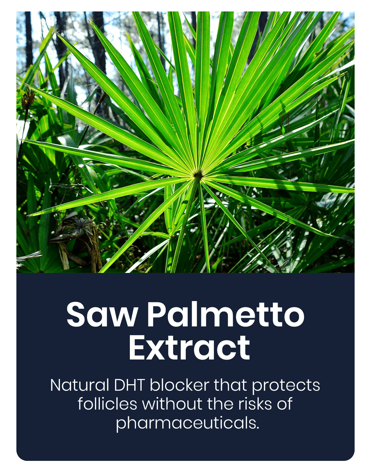 Lyyeto® HairRevix Advanced Hair Restoration Liquid Pearl 30 Lyyeto® HairRevix Advanced Hair Restoration Liquid Pearl