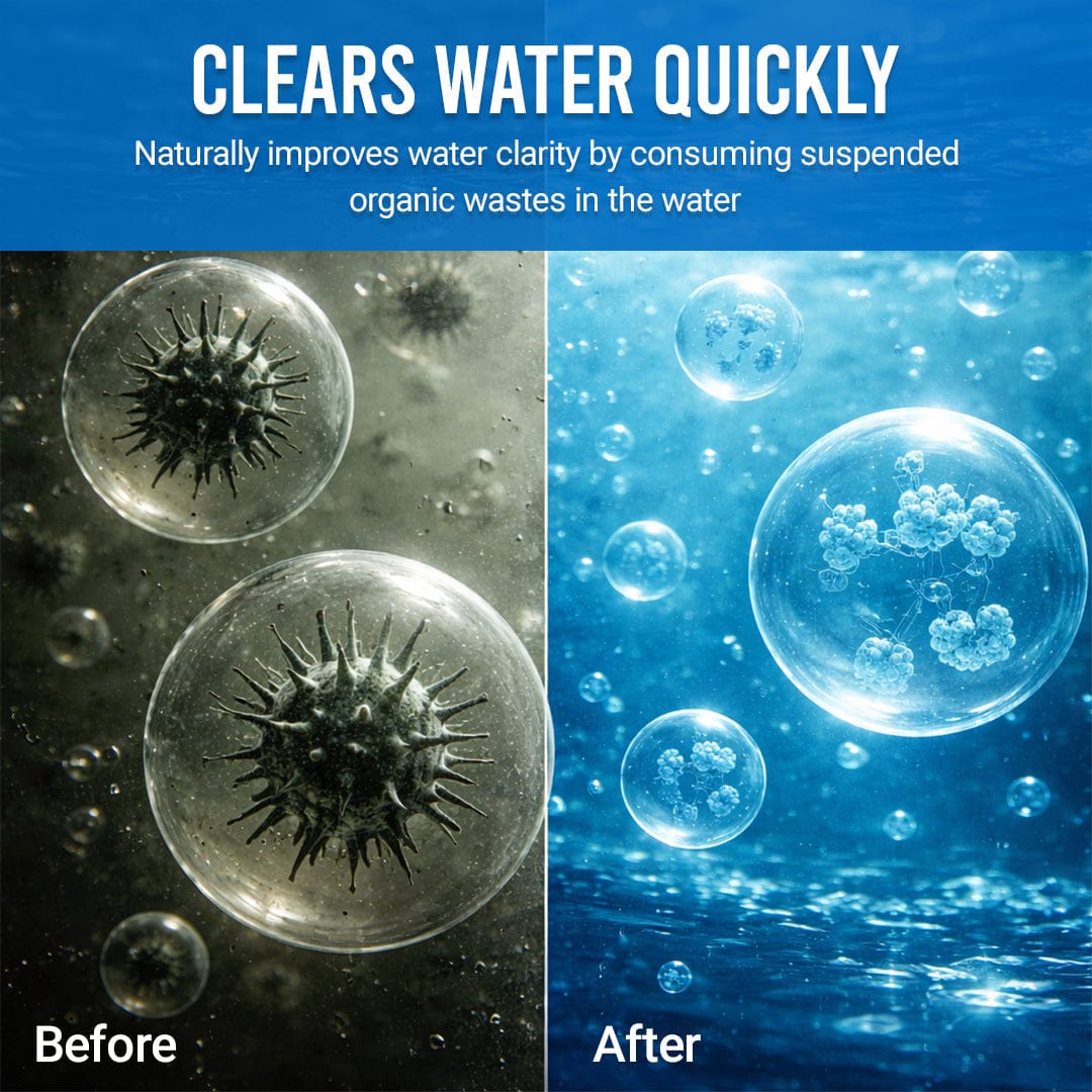 Luhaka® Pond Water Conditioner Powder | Water Clarifier & Algae Control 🐟🌊🔬