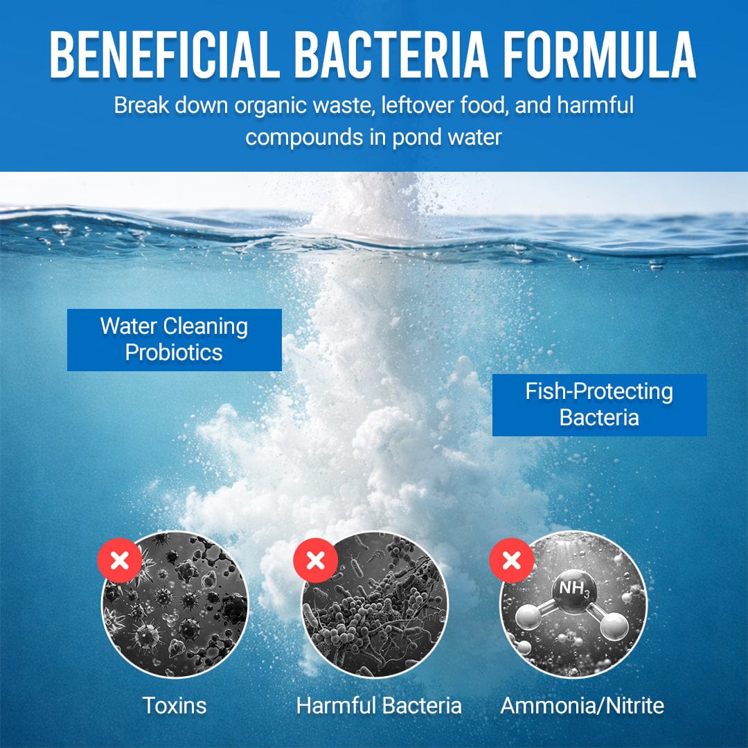 Luhaka® Pond Water Conditioner Powder | Water Clarifier & Algae Control 🐟🌊🔬