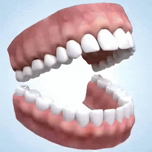 Mega Sale LUHAKA™ Silicone Reline Denture Set 21 media 20241212 145157 870052397642813122 1